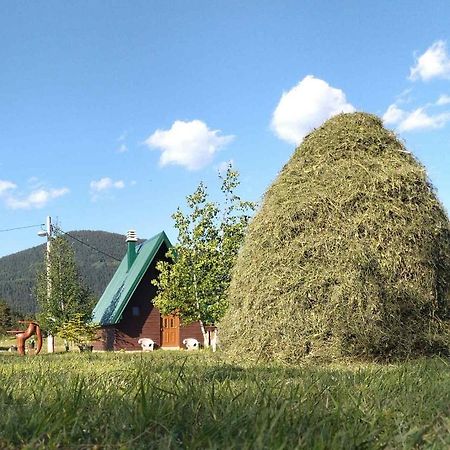 Villa Etno Koliba Nikoleta à Žabljak Extérieur photo