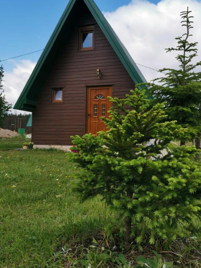 Villa Etno Koliba Nikoleta à Žabljak Extérieur photo