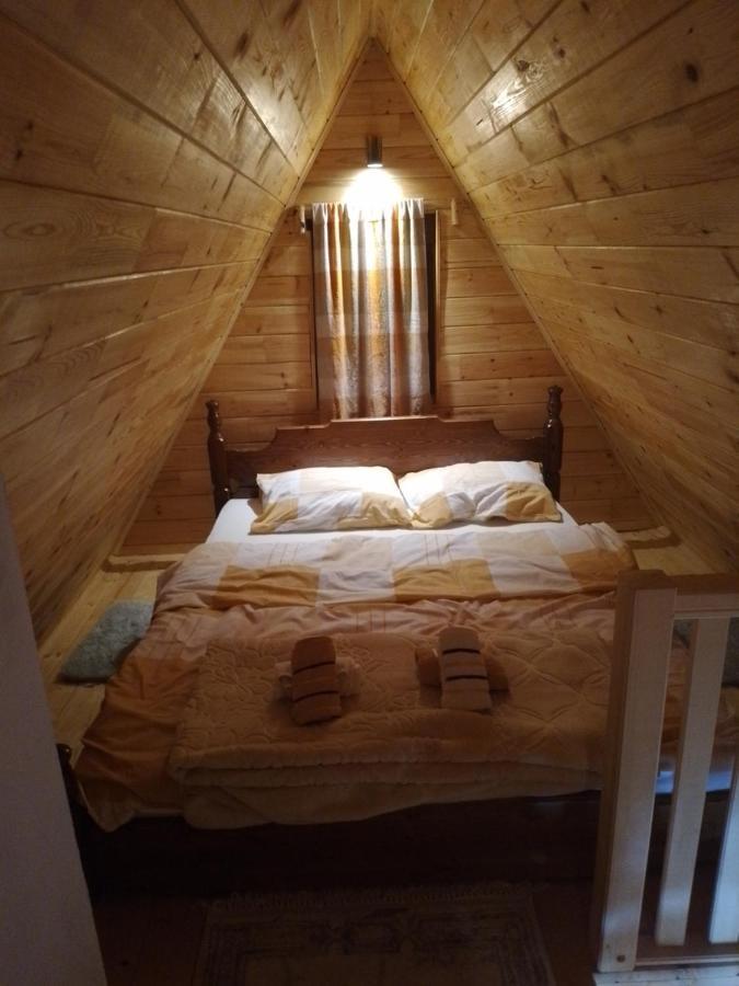 Villa Etno Koliba Nikoleta à Žabljak Extérieur photo