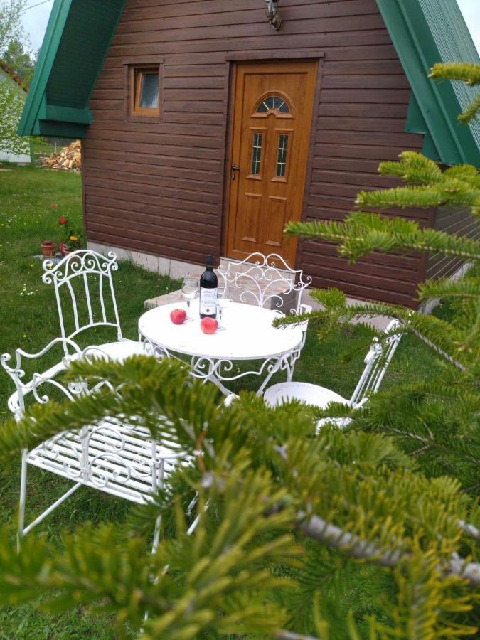 Villa Etno Koliba Nikoleta à Žabljak Extérieur photo
